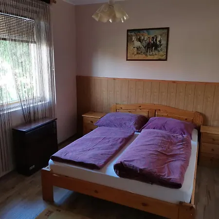 Roland Apartman Апартаменты Балатонлелле